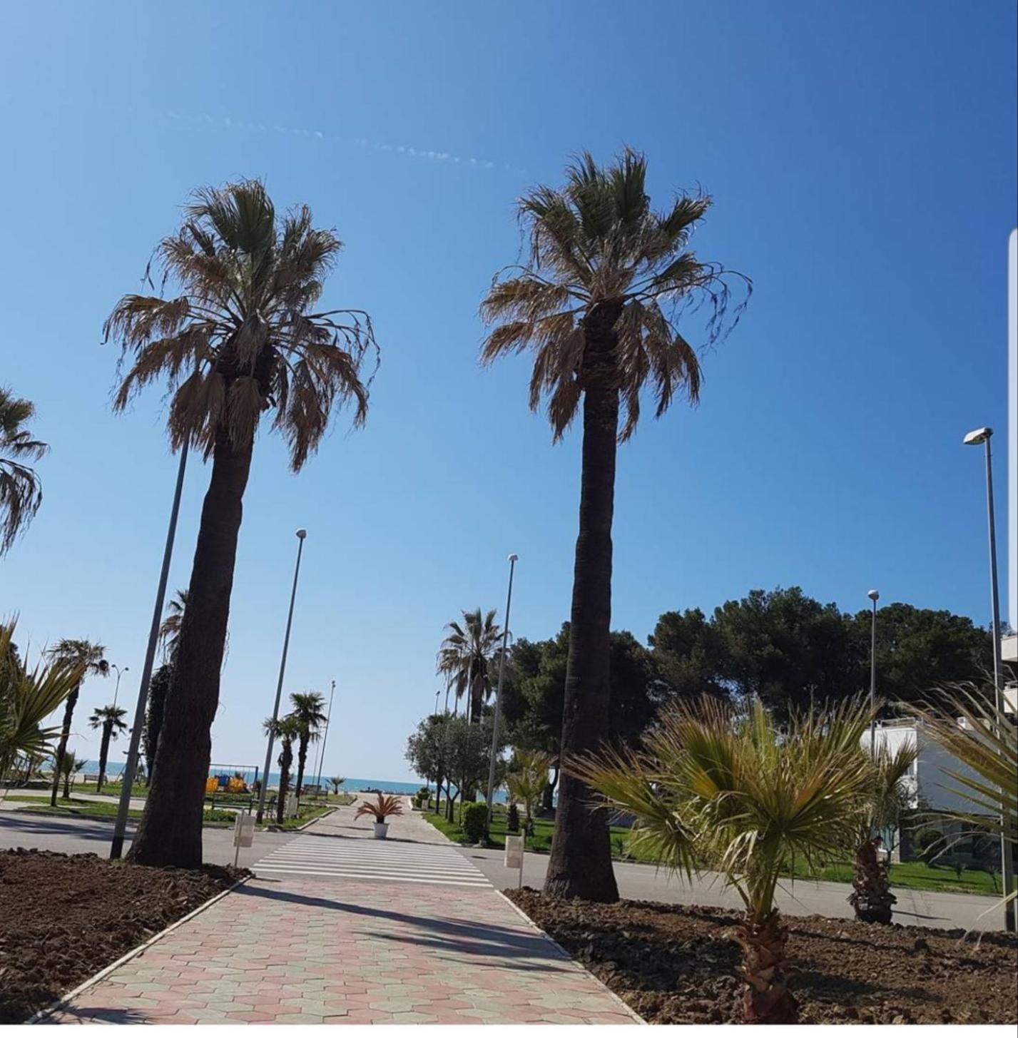 Amaris Apartments دراس الغرفة الصورة